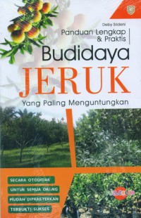 Panduan Lengkap & Praktis Budidaya Jeruk Yang Paling Menguntungkan