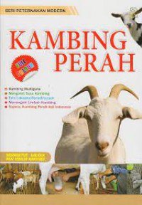 Kambing Perah