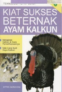 Kiat Sukses Beternak Ayam Kalkun