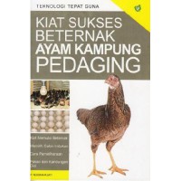 Kiat Sukses Beternak Ayam Kampung Pedaging