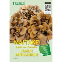 Maitake Lebih dari Sekadar Jamur Antikanker