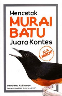 Mencetak Murai Batu Juara Kontes