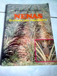 Nenas Budidaya dan Pascapanen