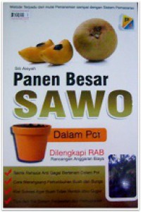 Panen Besar Sawo Dalam Pot