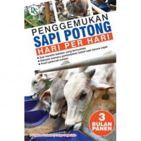 Penggemukan Sapi Potong Hari Per Hari