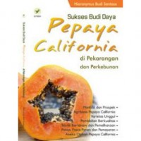 Sukses Budidaya Pepaya California di Pekarangan dan Perkebunan