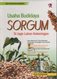 Usaha Budidaya Sorgum: Si Jago Lahan Kekeringan