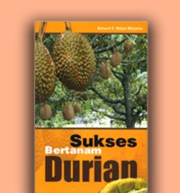 Sukses Bertanam Durian