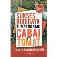 Sukses Budidaya Tumpang Sari Cabai & Tomat